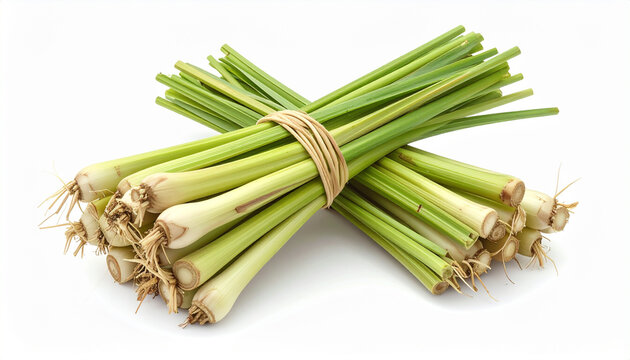 Fresh lemongrass bundles on white background for culinary and herbal uses
