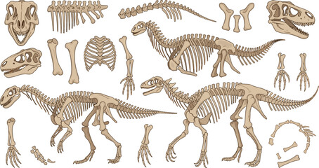 Dinosaur Skeleton Fossil Collection Featuring T Rex Skull Bones Ribcage Spine and Full Prehistoric Skeleton Anatomy Illustration Set © MD
