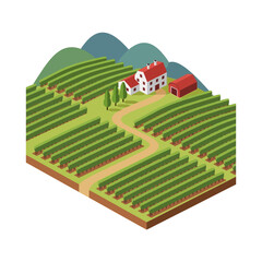 Fototapeta premium Isometric illustration of a vineyard with a house, barn, and rolling hills in the background.
