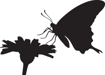 Butterfly Silhouette on a Flower Isolated on White Background © Silhouette Studio