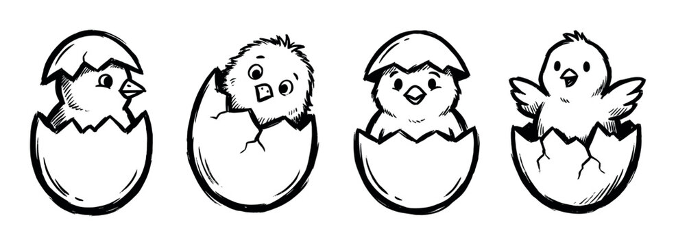 Adorable hand-drawn baby chicks are depicted in various stages of hatching from their cracked eggshells.