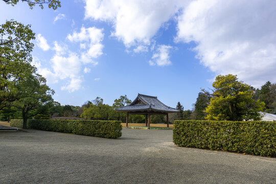 traditional japanese sumo ring under a blue sky in a zen garden