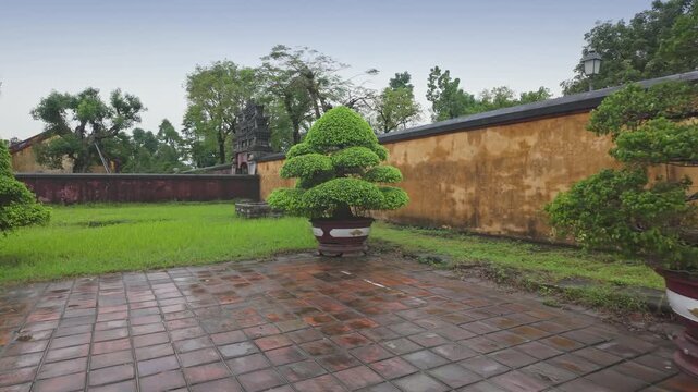 Bonsai trees in pots line the courtyard of the Imperial City in Hue, Vietnam. The trees are pruned and shaped to create miniature landscapes.