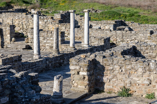 white marble columns stand among the excavated stone walls of an ancient roman city, capturing the enduring legacy of classical architecture and history
