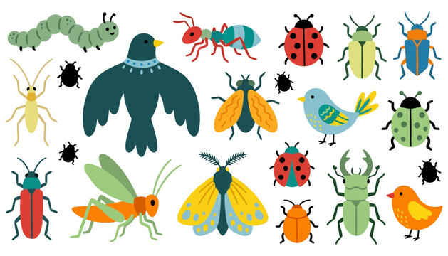 A collection of colorful cartoon insects including ladybugs beetles ants caterpillars grasshoppers flies moths and birds Insects bugs bird 175 characters fly animal nature