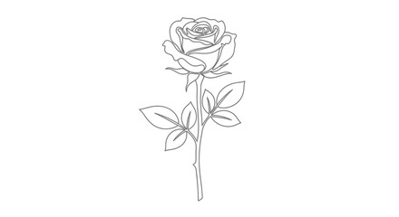 Fototapeta premium Elegant Rose Flower with Leaves, Single Line Drawing