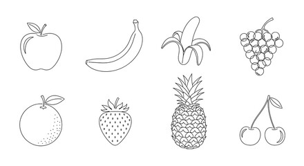 Hand Drawn Fruit Illustrations Set.