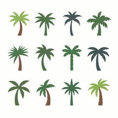 Naklejka premium Minimal palm tree icon flat vector illustration set EPS10 isolated on white