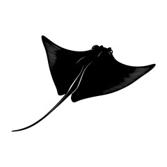 Black Stingray Silhouette Isolated on White Background. © Erik
