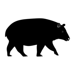 Obraz premium Silhouette of a Tapir Walking Isolated on White Background.