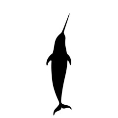 Silhouette of a Narwhal with a Long Tusk. © Erik