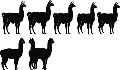 llama alpaca silhouette collection, black animal set vector style, isolated white background, farm livestock south american camelid standing profile illustration © Jamal Creative