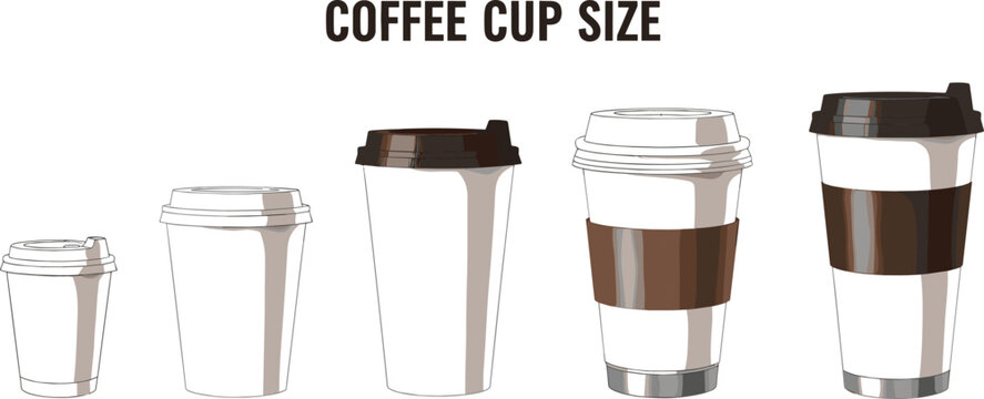 Coffee cup size comparison vector illustration with different takeaway cups and lids showing small medium large cafe beverage container set