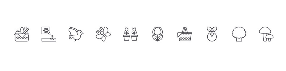 Fototapeta premium set of 10 thin line flat spring icons such as food basket, planting, bird, butterfly, flowers, tulip, basket, sprout, tree, mushrooms. editable stroke vector illustration isolated on white