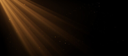 Dramatic golden light rays streaming diagonally through a dark background with floating dust particles, creating a cinematic atmosphere of warmth, mystery, and elegant illumination. Vector backdrop