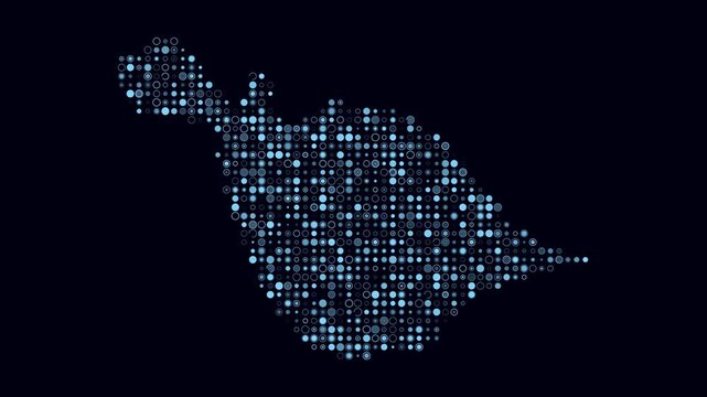Heard Island and McDonald Islands map animation. Shape of the country with pulsating colored dots. Small size circle blocks. Digital style Heard Island and McDonald Islands map on dark background.