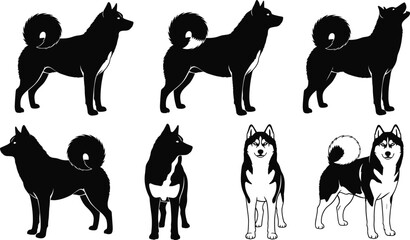 Siberian Husky Dog Vector Set with Multiple Poses Front View and Side Silhouettes for Pet Branding Logo Design and Icons © MDJAHID