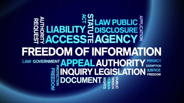Freedom of information animated word cloud-text design animation tag kinetic typography seamless loop.