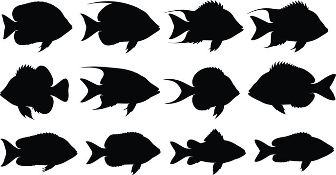 Collection of tropical fish silhouettes set, marine aquatic animal shapes isolated on white background, ocean wildlife illustration pack for design and nature themes