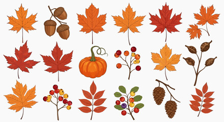 Fototapeta premium Autumn leaves and gourds illustration set on white background