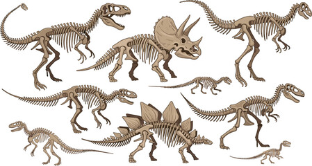 Dinosaur Skeleton Collection Featuring T Rex Triceratops and Stegosaurus Fossil Bones Prehistoric Animal Skeleton Illustration Set © MD
