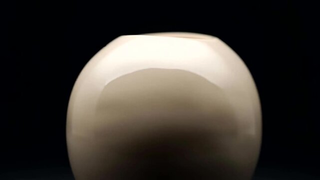 Minimalist Vase: An elegant, egg-shaped vase, showcasing a smooth, reflective surface against a contrasting backdrop.