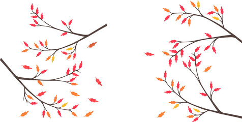colorful autumn leaves falling from tree branches isolated on transparent background transparent background