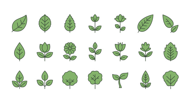 Collection of various green leaf shapes.