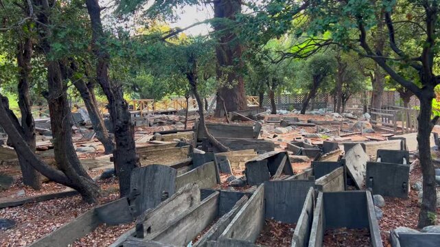 Cinematic 4k video of ancient Kalash Wooden Coffins in an Open Air Graveyard, Bumburet Valley, Chitral, Pakistan, moving back Shot