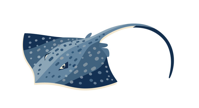 Blue Spotted Stingray Swimming Underwater.