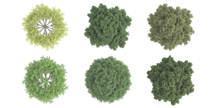 Set of detailed top view tree models for architectural landscape and urban design planning vector illustration.