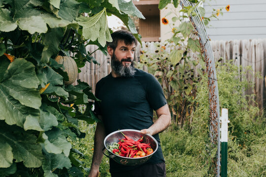 Man holds colander full of freshly harvested fruits and vegetables