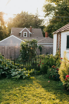View of backyard garden at sunset on fall evening in the midwest