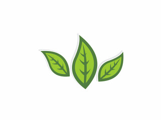 Obraz premium Green Organic Three Leaf Icon Illustration for Environmental Sustainability Nature Based Products and Eco Wellness Concept