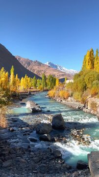 Cinematic 4K vertical footage of Majestic Autumn Landscape of Gupis Valley with Winding Gilgit River, Golden Poplar Trees and snowy peak on front, Gilgit-Baltistan, Pakistan
