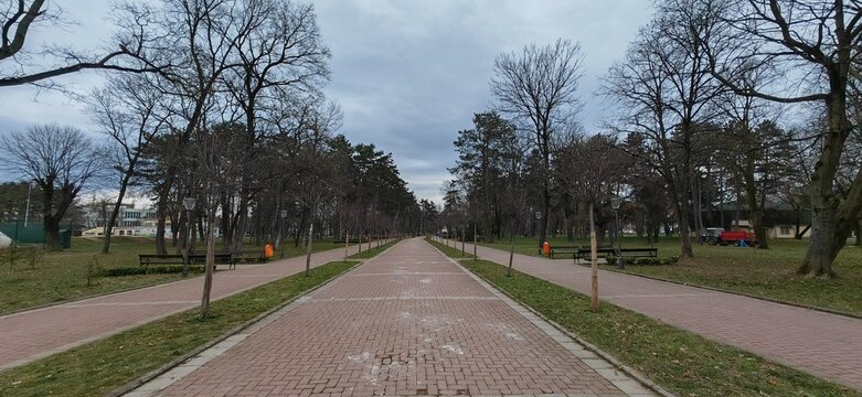Empty Brick Pathway Through Winter City Park