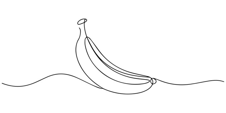 Banana bunch continuous one line drawing on white background, One continuous line drawing slice ripe healthy organic banana for orchard logo identity. Fresh tropical fruitage concept fruit garden icon