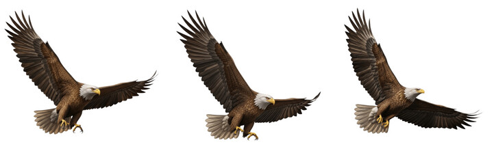 Fototapeta premium Set of three Andean condors flying in group isolated on white background