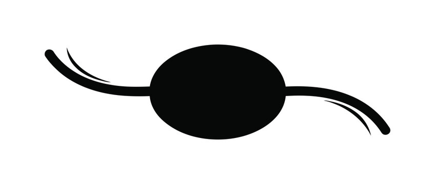 Vector of a sperm cell featuring a black oval body and long wavy tail