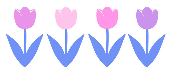 Colorful tulip flowers illustration isolated on transparent background, perfect for spring designs, floral patterns, greeting cards, botanical graphics and decorative elements. © Arun