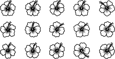 Black and white hibiscus flower flowers floral patterns © GR Graphics