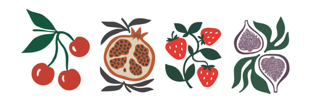 Set of organic fruit illustrations with cherry strawberry pomegranate and fig