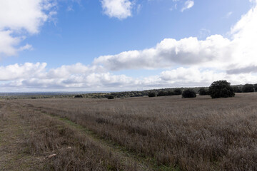 Madrid skyline rising above rural landscape with clouds