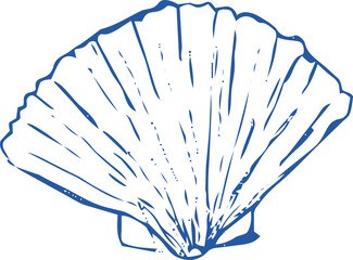 Seashell coastal Sketch hand drawn ink naive marine doodle © Alyona