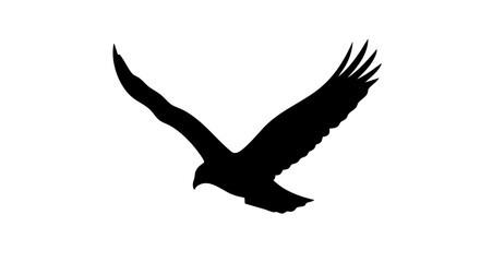 Fototapeta premium Bird in flight depicted as a silhouette vector illustration
