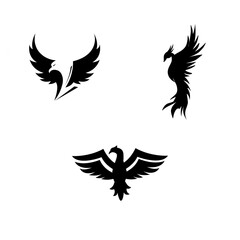 Fototapeta premium Eagle Wing Silhouette Collection with Spread Wing Bird Icons