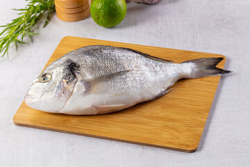 Raw fresh uncooked dorada fish