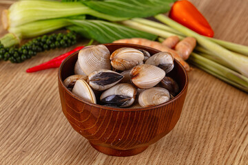 Raw fresh wild clams mollusc © Andrei Starostin