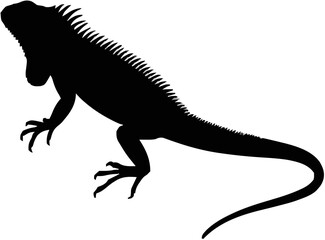 Obraz premium Iguana Silhouette – Flat Vector Plotter Cut File