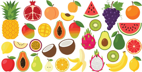 Fototapeta premium Tropical and fresh fruit collection with pineapple, mango, watermelon, kiwi, banana, coconut, papaya, grapes, and citrus colorful vector illustration set